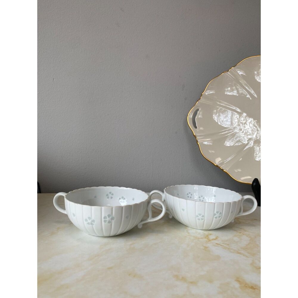 Cottagecore Set of 2 Fine china porcelain bowl, low soup,porridge with handles